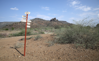 shruby landscape with crossroads sign